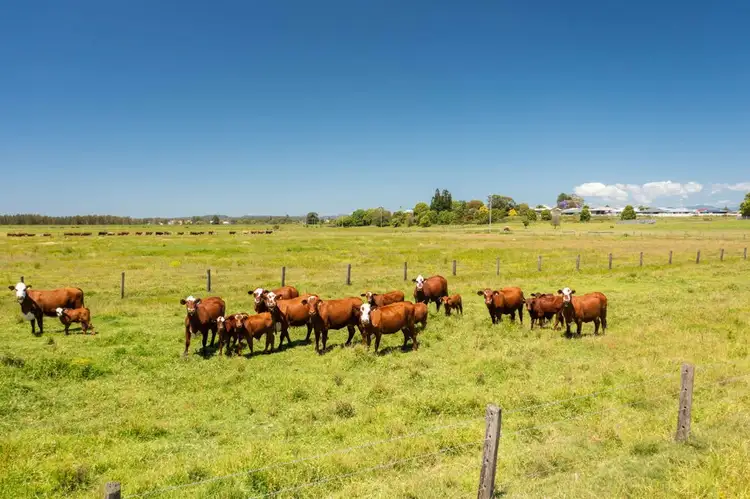 Main view of Homely rural property listing, Lot 62 Macleay Valley Way, Kempsey NSW 2440