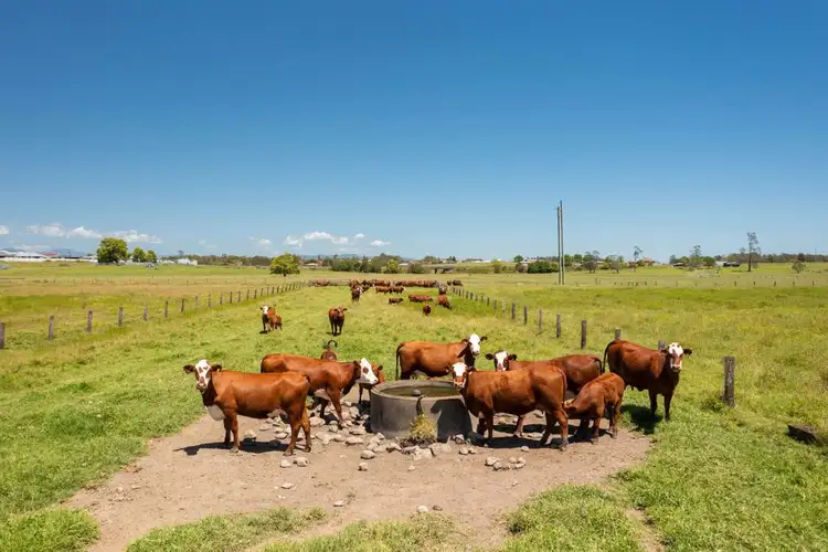 Third view of Homely rural property listing, Lot 62 Macleay Valley Way, Kempsey NSW 2440