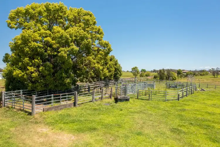Seventh view of Homely rural property listing, Lot 62 Macleay Valley Way, Kempsey NSW 2440