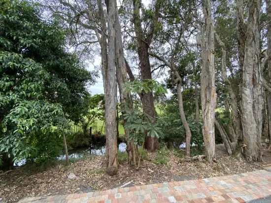Second view of Homely other listing, 12/30 HOLDEN STREET, Tweed Heads South NSW 2486