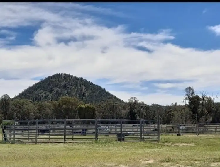 Seventh view of Homely rural property listing, 3046 Baradine road, Coonabarabran NSW 2357