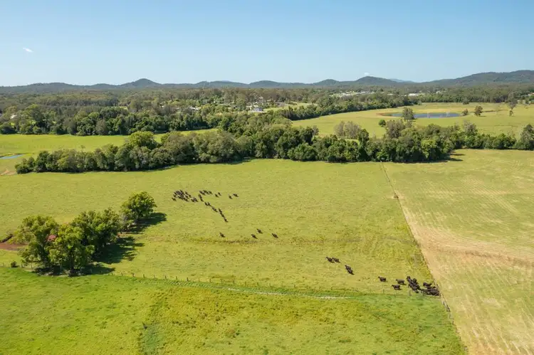 Fourth view of Homely rural property listing, 1835 Oxley Highway, Wauchope NSW 2446