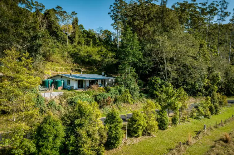 Second view of Homely rural property listing, 774 Kalang Road, Bellingen NSW 2454
