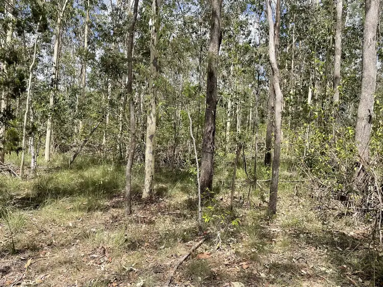 Third view of Homely land listing, 919 Clearfield Road, Myrtle Creek NSW 2469