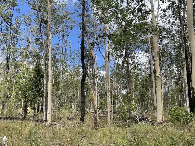 Sixth view of Homely land listing, 919 Clearfield Road, Myrtle Creek NSW 2469