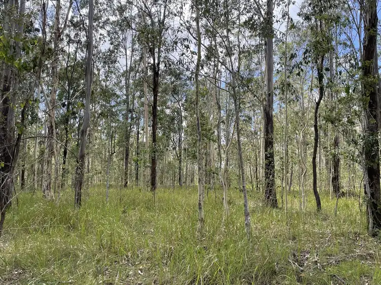 Seventh view of Homely land listing, 919 Clearfield Road, Myrtle Creek NSW 2469