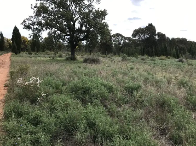Main view of Homely rural property listing, 371 Bourkes and Halls road, Binnaway NSW 2395