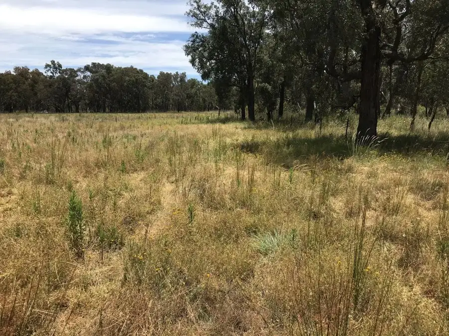 Main view of Homely land listing, 104 BOX RIDGE ROAD, Ulamambri NSW 2357