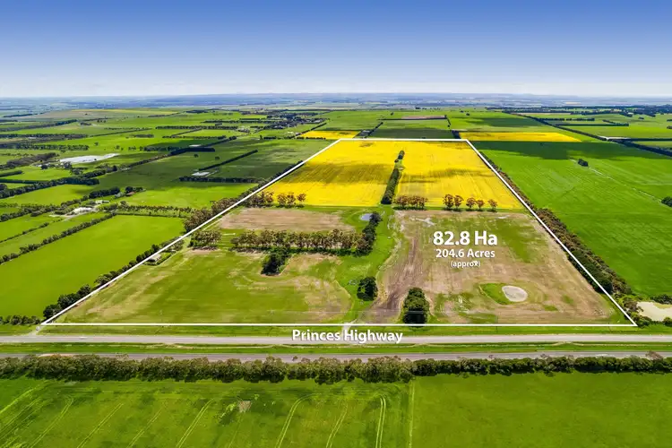 Fourth view of Homely rural property listing, 1780 Princes Highway, Buckley VIC 3240