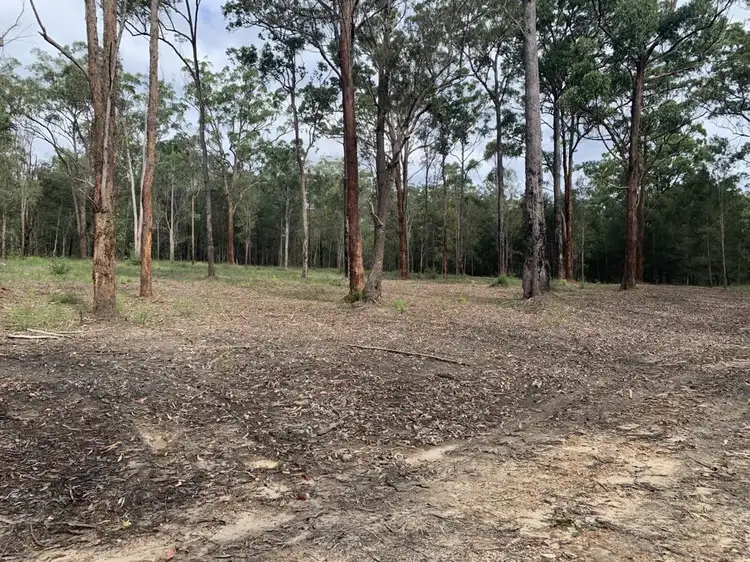 Second view of Homely rural property listing, Lot 15 Bostock Road, Tucabia NSW 2462