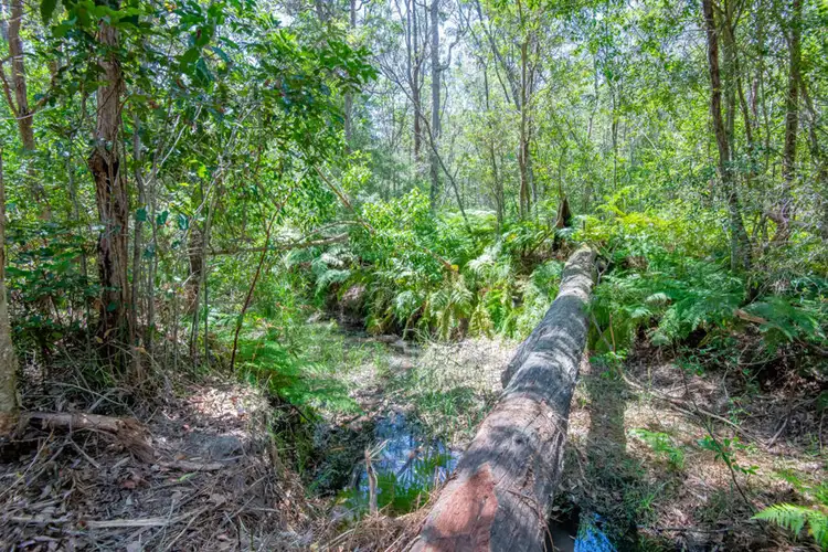 Fourth view of Homely rural property listing, Lot 15 Bostock Road, Tucabia NSW 2462