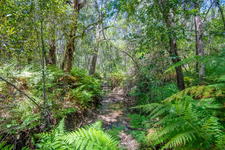 Fifth view of Homely rural property listing, Lot 15 Bostock Road, Tucabia NSW 2462