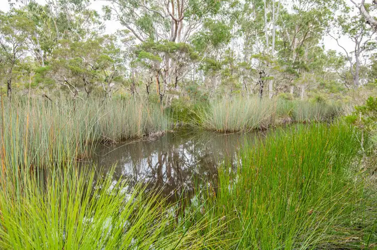 Fifth view of Homely rural property listing, 249 Florda Red Drive, Wells Crossing NSW 2460