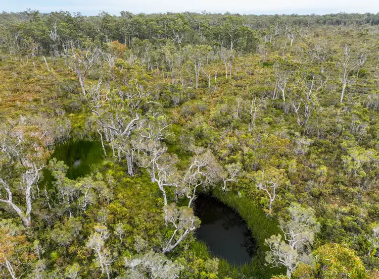 Seventh view of Homely rural property listing, 249 Florda Red Drive, Wells Crossing NSW 2460