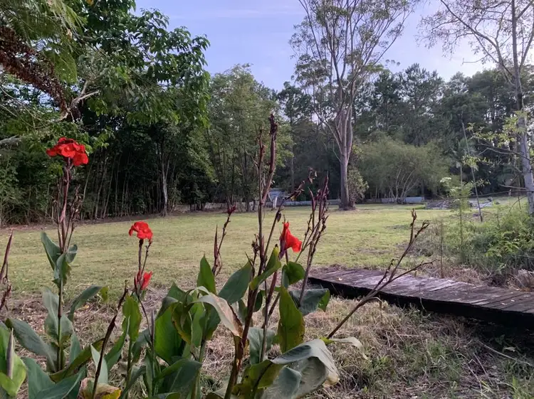 Sixth view of Homely rural property listing, 434 Chevallum Road, Chevallum QLD 4555