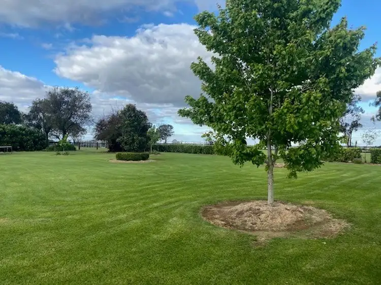 Fifth view of Homely rural property listing, 1685 Napier Lane, Coonabarabran NSW 2357