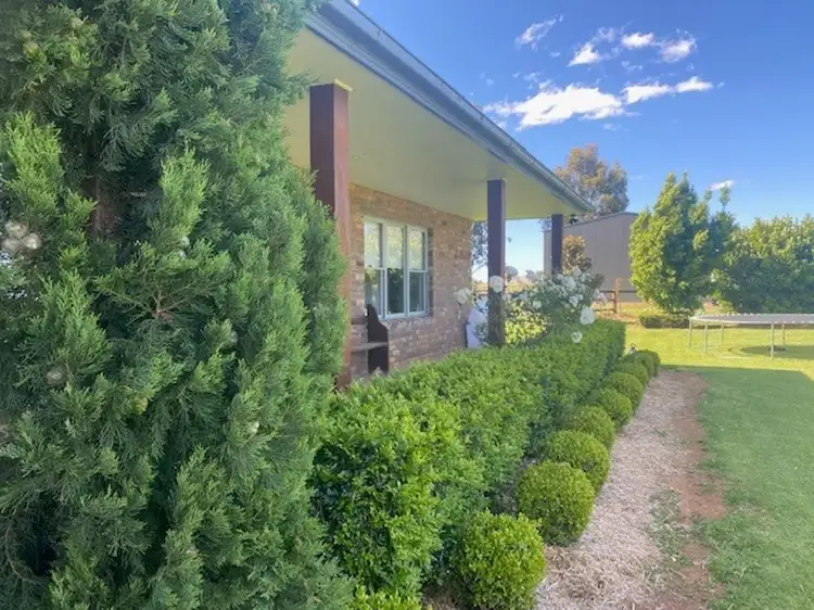 Seventh view of Homely rural property listing, 1685 Napier Lane, Coonabarabran NSW 2357