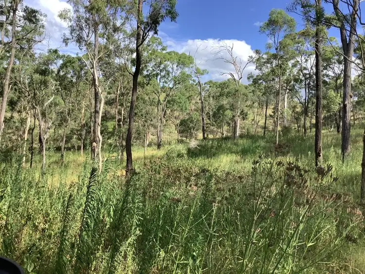 Third view of Homely land listing, 1331 Pierces Creek Road, Pierces Creek QLD 4355