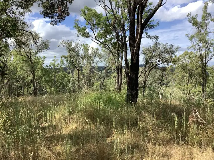 Fifth view of Homely land listing, 1331 Pierces Creek Road, Pierces Creek QLD 4355