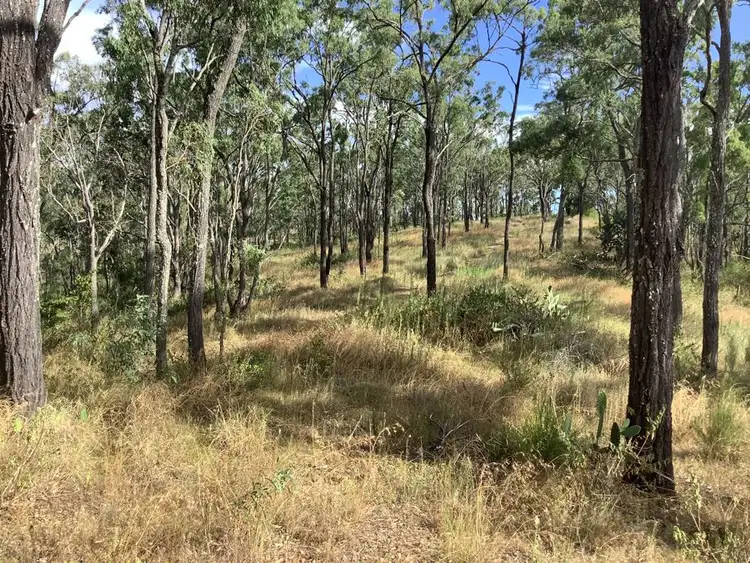 Seventh view of Homely land listing, 1331 Pierces Creek Road, Pierces Creek QLD 4355