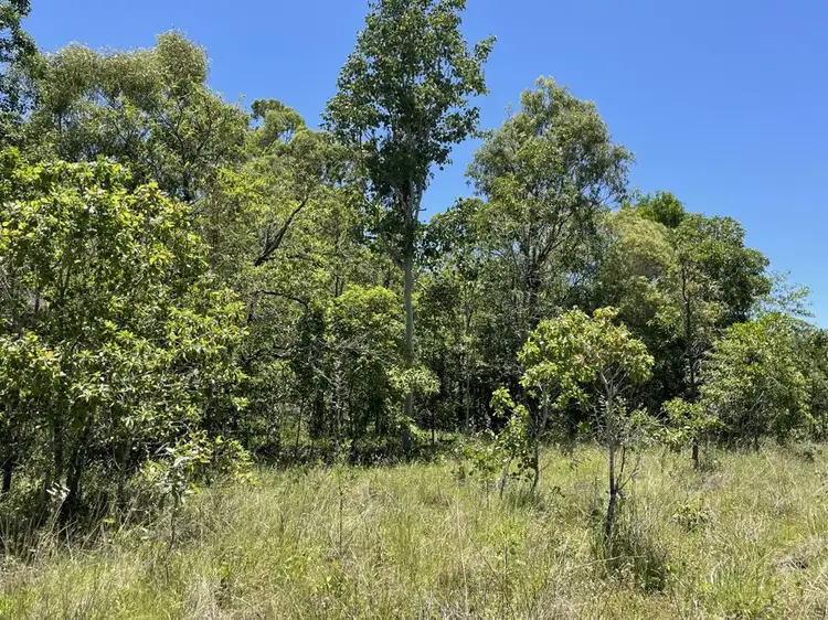 Fifth view of Homely land listing, LOT 10 LELONA DRIVE, Bloomsbury QLD 4799