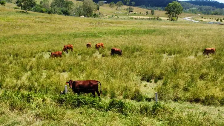 Fourth view of Homely land listing, 494 Greendale Road, Glastonbury QLD 4570