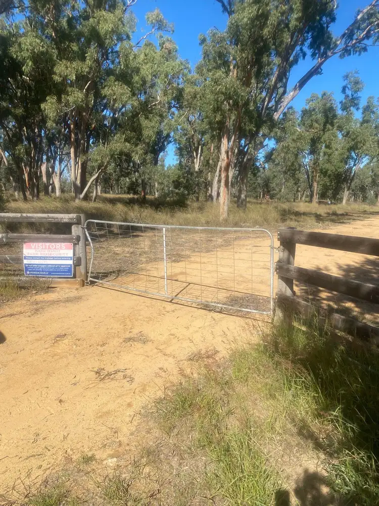 Third view of Homely rural property listing, Oregon Rd, Warialda NSW 2402