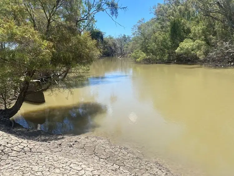 Second view of Homely rural property listing, Boronga, Boomi NSW 2405