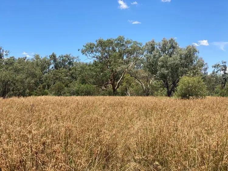 Fifth view of Homely rural property listing, Boronga, Boomi NSW 2405