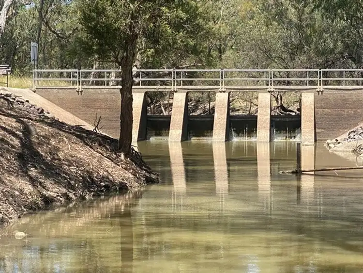 Seventh view of Homely rural property listing, Boronga, Boomi NSW 2405