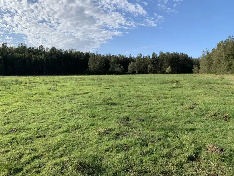 Fourth view of Homely rural property listing, 369 Maria River Rd, Crescent Head NSW 2440