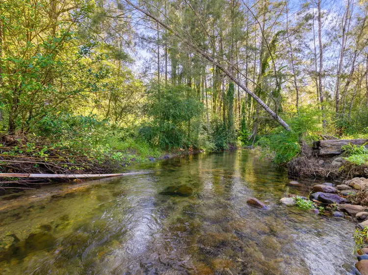 Third view of Homely rural property listing, 1824 Darkwood Rd, Bellingen NSW 2454