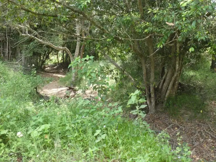 Seventh view of Homely rural property listing, 941 Hills Road, Mount Maria QLD 4674