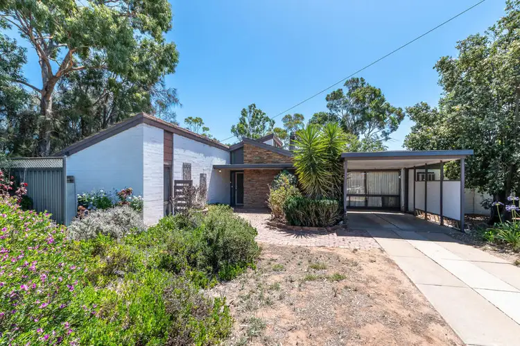 Main view of Homely house listing, 19 Bywaters Road, Murray Bridge SA 5253
