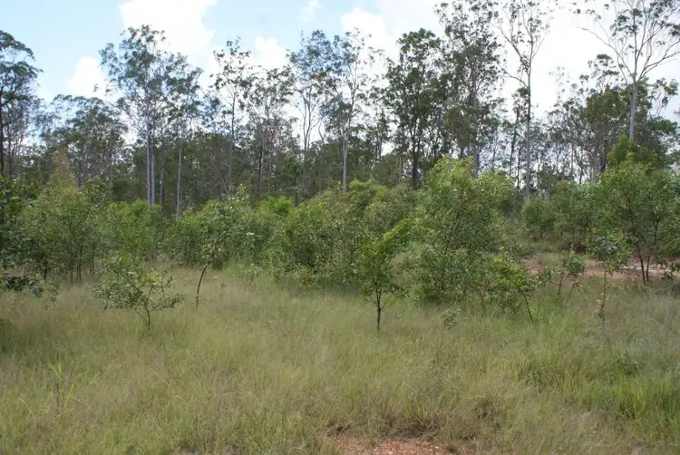 Lot 4 Alpha Plantation Road, Tinana South QLD 4650