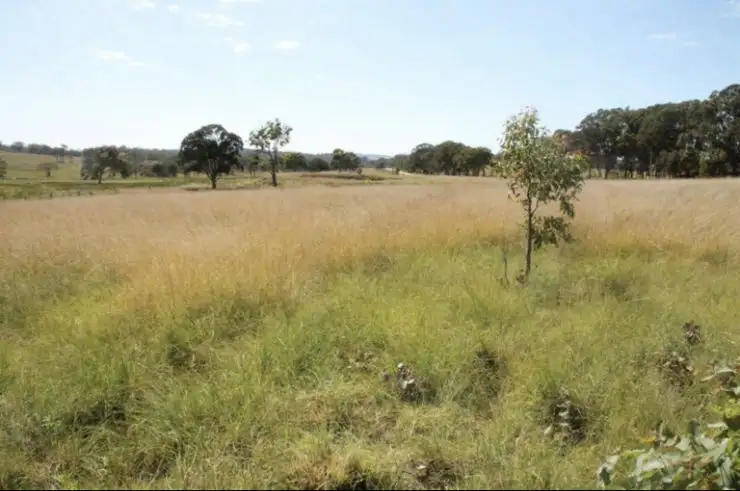Sixth view of Homely land listing, Lots 1 and 2 Wylie Creek Road, Maryland NSW 4377