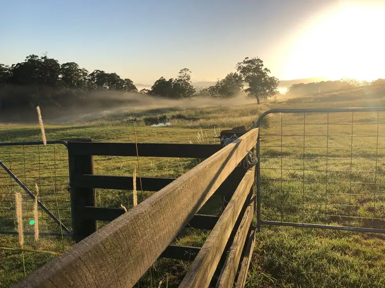 Second view of Homely rural property listing, 1701 Hannam Vale Road, Lorne NSW 2439