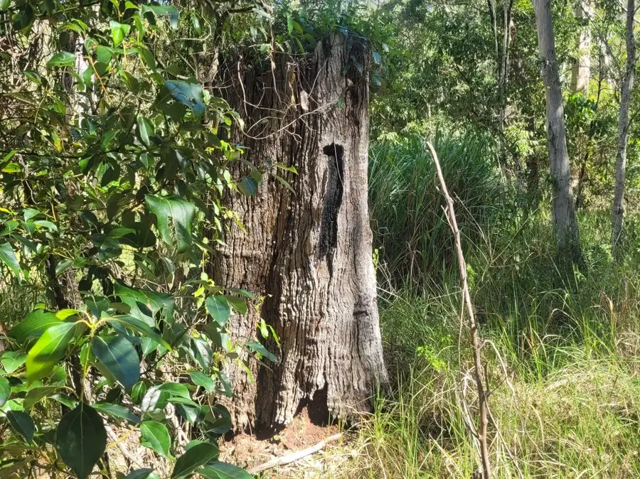 Main view of Homely land listing, 85 Counter Road, Wolvi QLD 4570