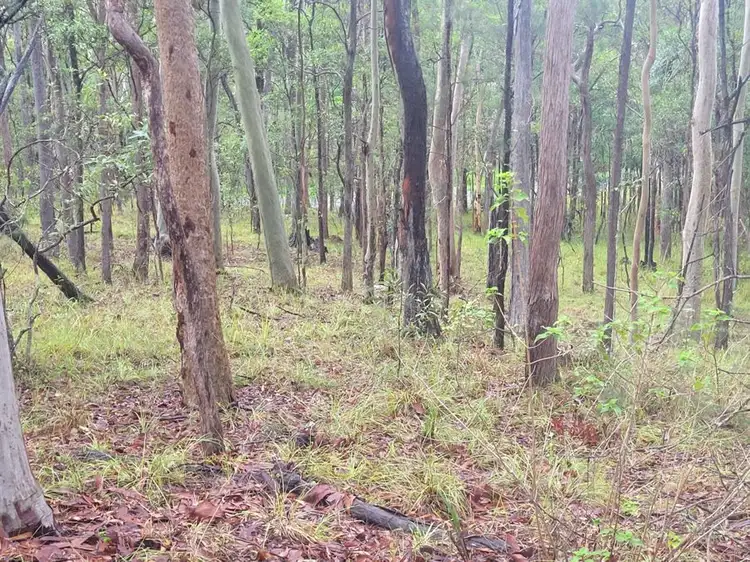 Seventh view of Homely land listing, 85 Counter Road, Wolvi QLD 4570