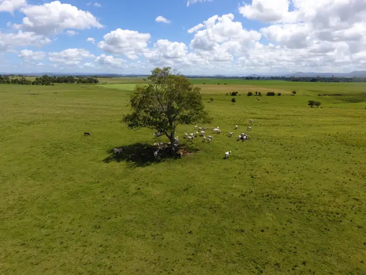 Sixth view of Homely rural property listing, 10 Gooley's Road, Stratheden NSW 2470