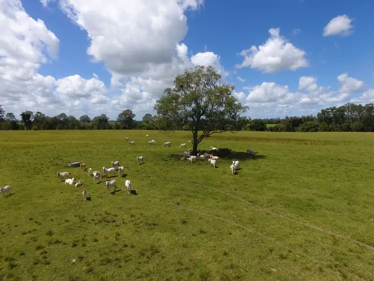 Seventh view of Homely rural property listing, 10 Gooley's Road, Stratheden NSW 2470