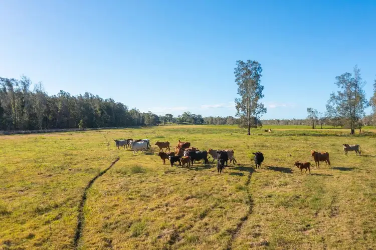 LOT 1 SEALE ROAD, Verges Creek NSW 2440