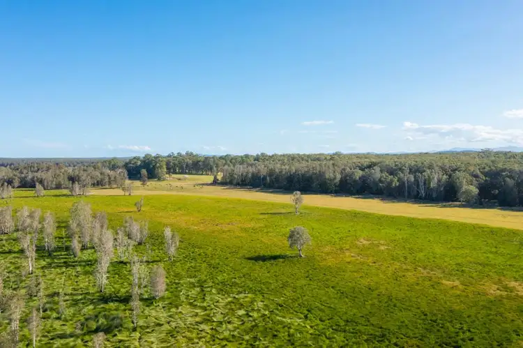 Third view of Homely rural property listing, LOT 1 SEALE ROAD, Verges Creek NSW 2440