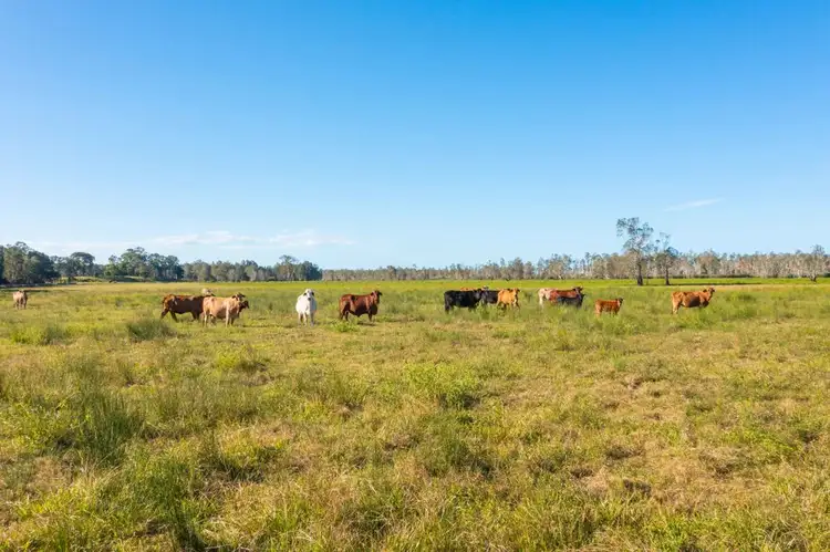 Fourth view of Homely rural property listing, LOT 1 SEALE ROAD, Verges Creek NSW 2440
