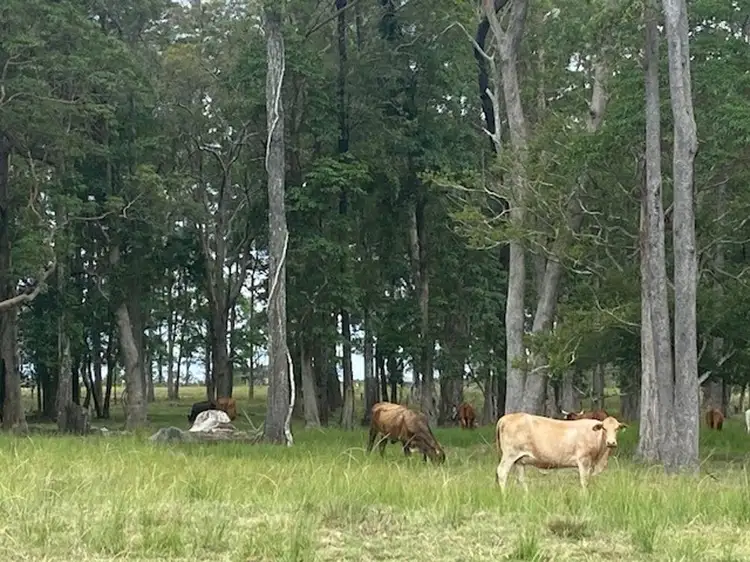 Sixth view of Homely rural property listing, LOT 1 SEALE ROAD, Verges Creek NSW 2440