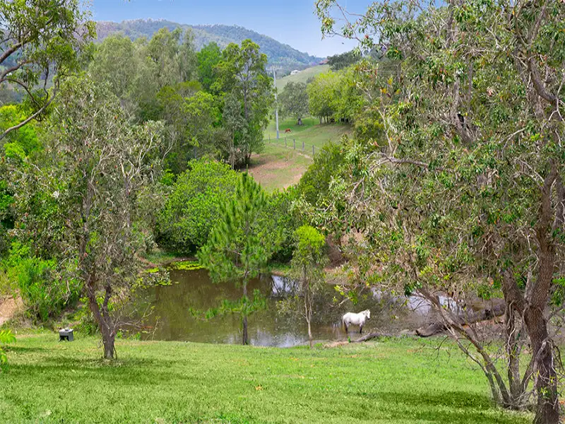 Main view of Homely house listing, 31 Old Mt Samson Road, Mount Samson QLD 4520