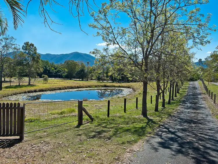 Sixth view of Homely house listing, 117 Smiths Road, Wights Mountain QLD 4520