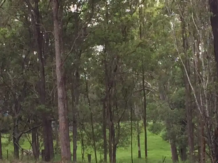 Third view of Homely land listing, Lot 2 Parragilga Close, Wights Mountain QLD 4520