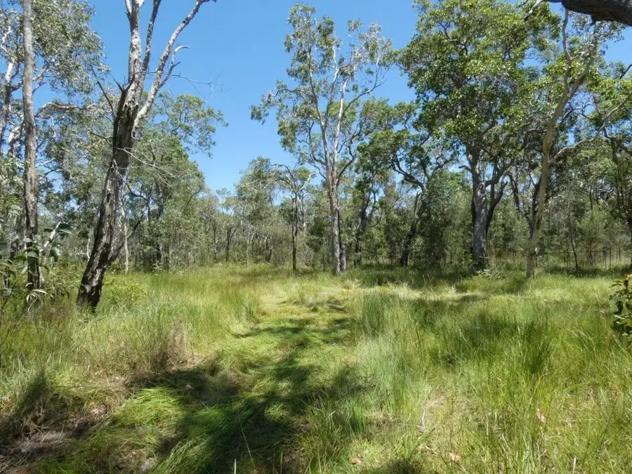 Main view of Homely rural property listing, Lot 135 Capricornia Drive, Deepwater QLD 4674