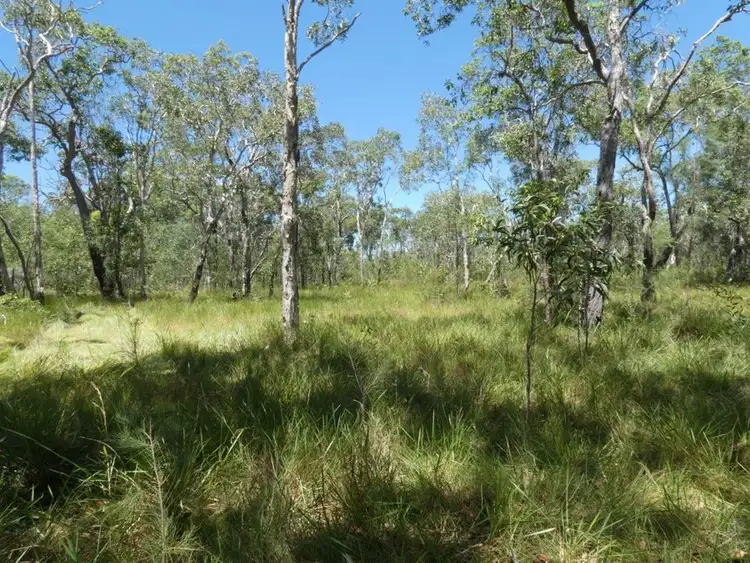 Fourth view of Homely rural property listing, Lot 135 Capricornia Drive, Deepwater QLD 4674